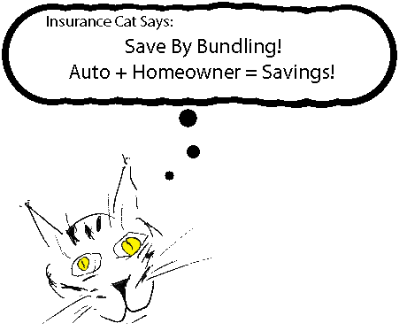 Insurance Cat!