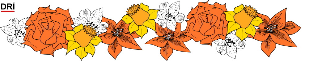 Alstroemeria, Orange Rose, Jonquil, Tiger Lily